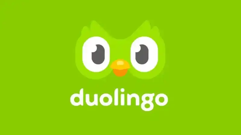 What is the Duolingo test validity?